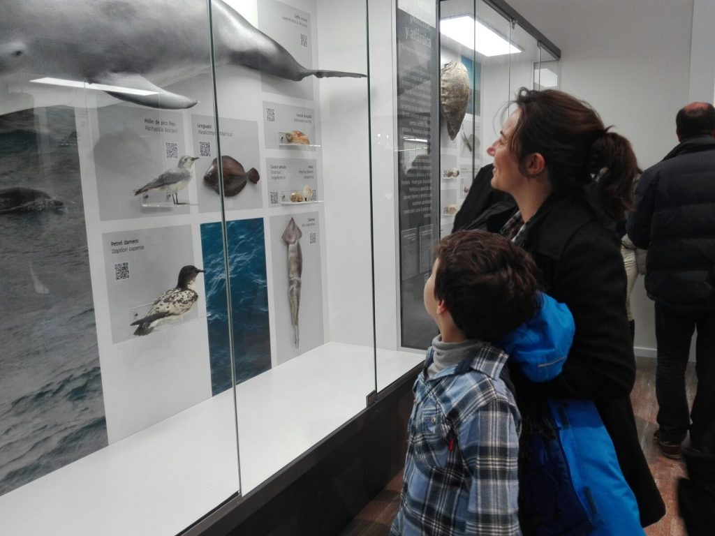 Museo Historia Natural - Biodiversidade