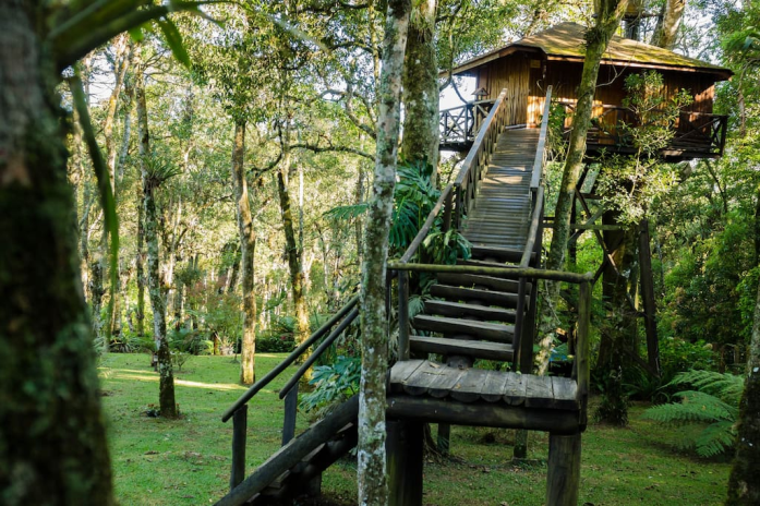 Casa na árvore em Monte Verde - MG