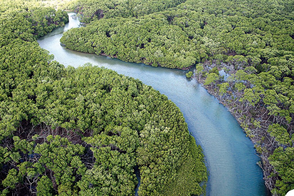 Parque do Cocó