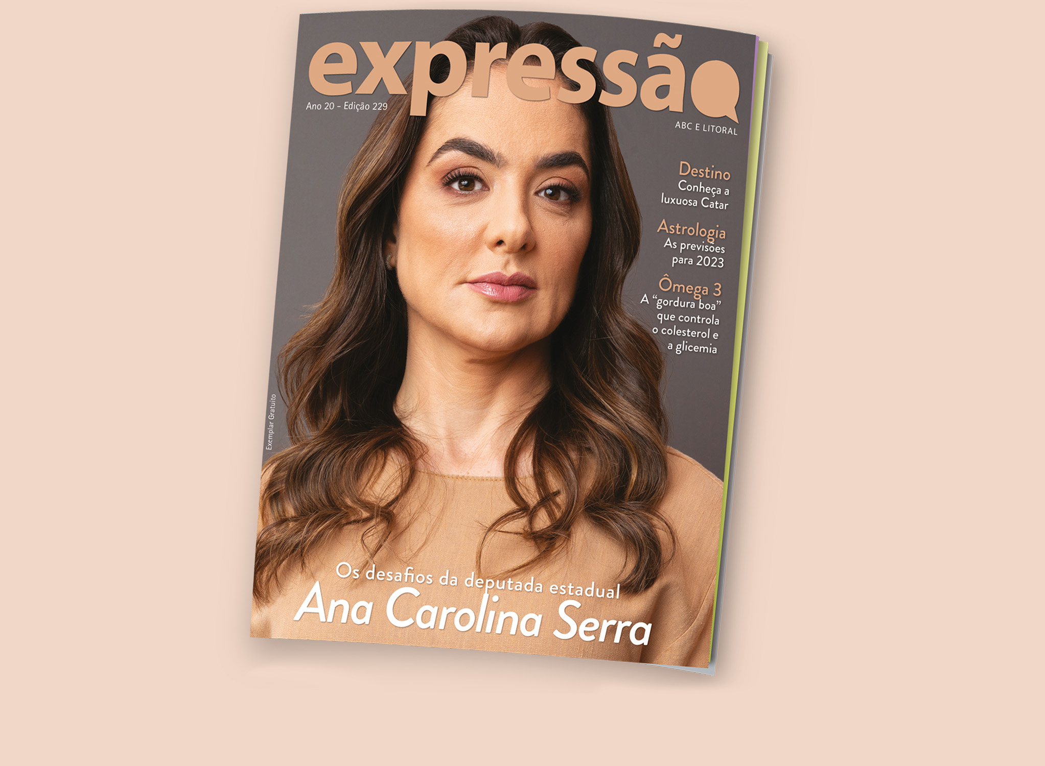 Edição 229